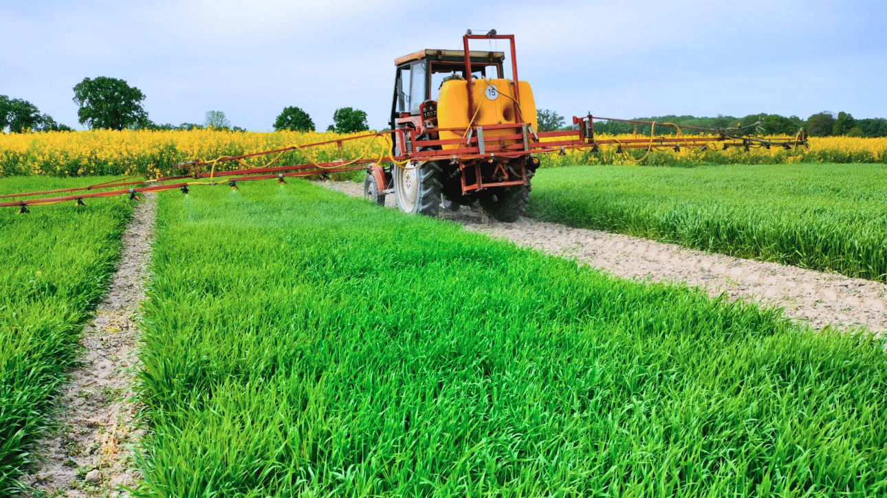 Aplikacja biostymulatora; drugi zabieg